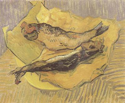 Vincent Van Gogh Crab on Its Back (nn04) Sweden oil painting art